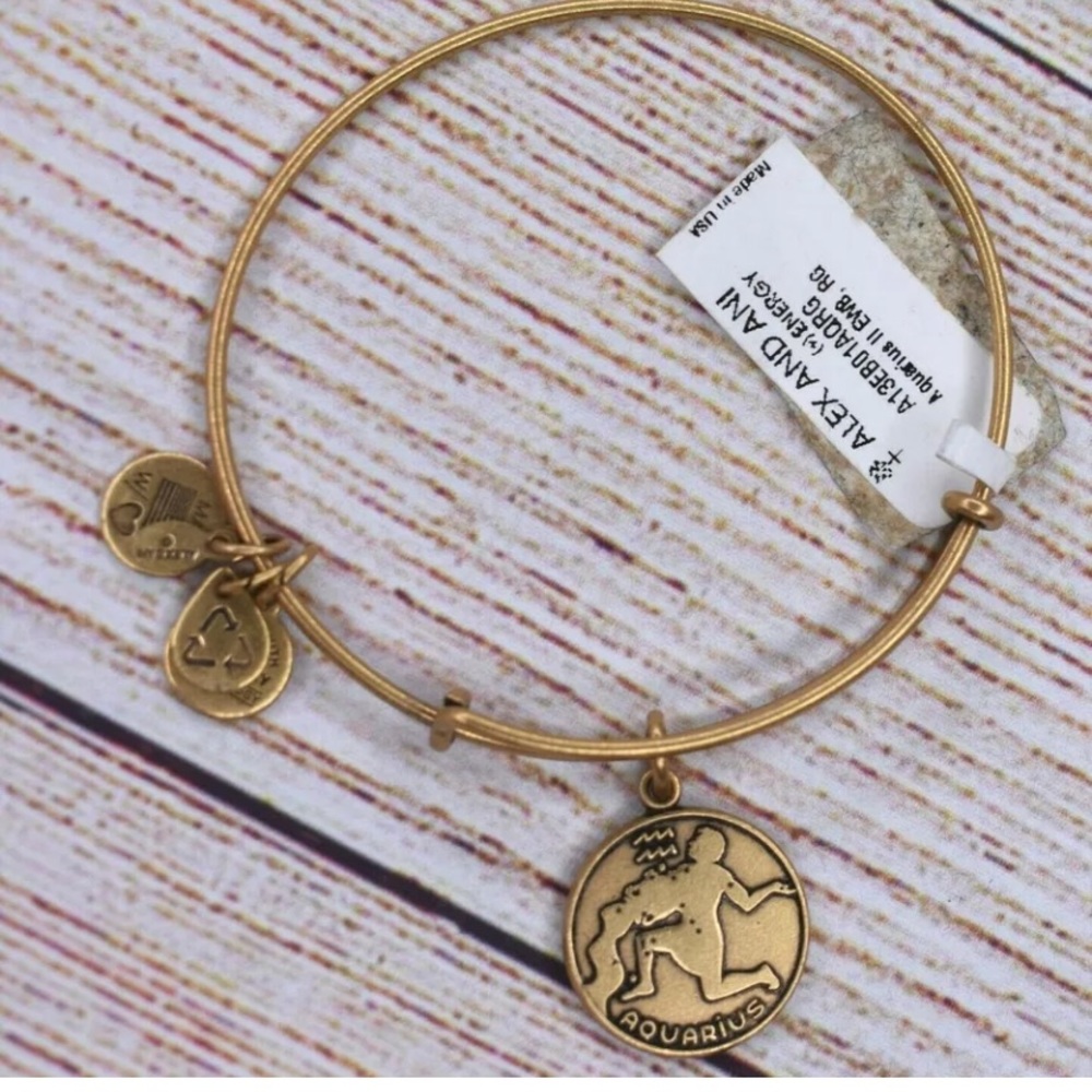 New Alex and Ani Gold Bracelet Aquarius Charm